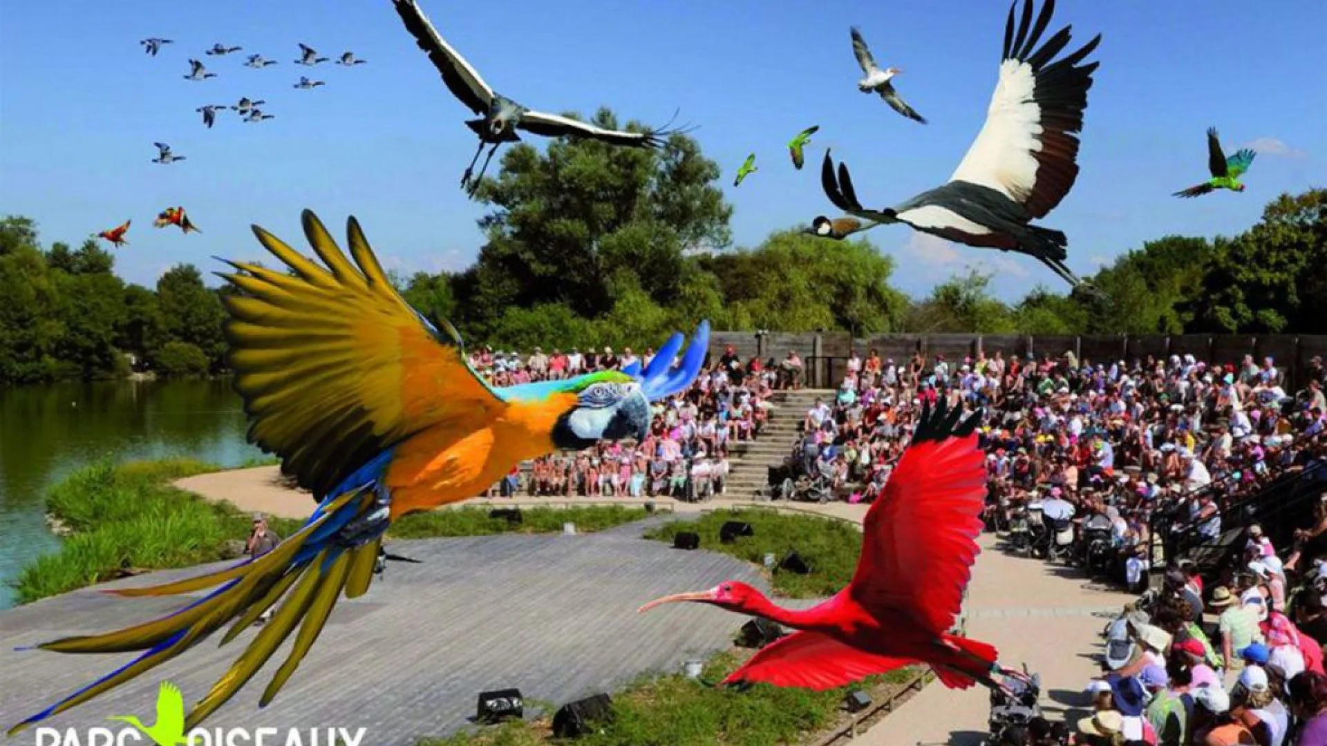 PARC-OISEAUX-2.jpg