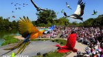 PARC-OISEAUX-2.jpg