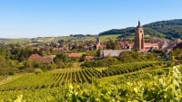 arbois-2026.jpg