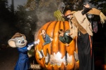 europapark-halloween-2026.jpg